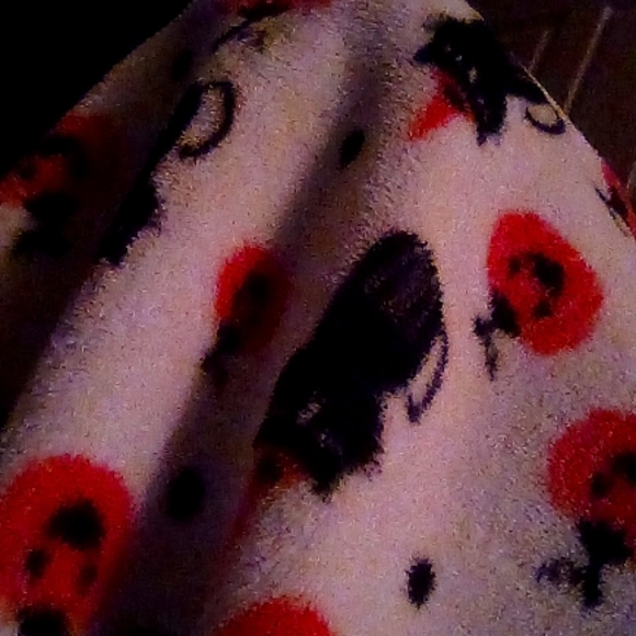 Blanket - Picture 1 of 1